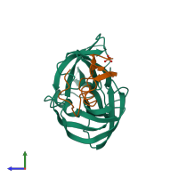 PDB entry 1sgn coloured by chain, side view.
