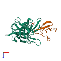 PDB entry 1sgn coloured by chain, top view.