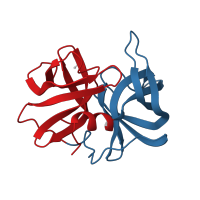 The deposited structure of PDB entry 1sgp contains 2 copies of CATH domain 2.40.10.10 (Thrombin, subunit H) in Streptogrisin-B. Showing 2 copies in chain A [auth E].