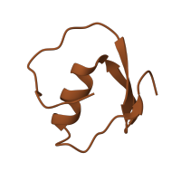 The deposited structure of PDB entry 1sgp contains 1 copy of SCOP domain 57468 (Ovomucoid domain III-like) in Ovomucoid. Showing 1 copy in chain B [auth I].