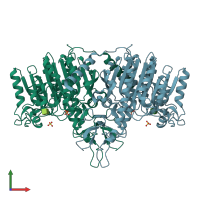 PDB entry 1shn coloured by chain, front view.