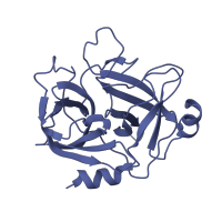 The deposited structure of PDB entry 1shy contains 1 copy of SCOP domain 50514 (Eukaryotic proteases) in Hepatocyte growth factor beta chain. Showing 1 copy in chain A.