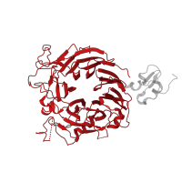 The deposited structure of PDB entry 1shy contains 1 copy of CATH domain 2.130.10.10 (Methylamine Dehydrogenase; Chain H) in Hepatocyte growth factor receptor. Showing 1 copy in chain B.