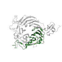 The deposited structure of PDB entry 1shy contains 1 copy of Pfam domain PF01403 (Sema domain) in Hepatocyte growth factor receptor. Showing 1 copy in chain B.