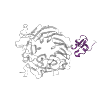 The deposited structure of PDB entry 1shy contains 1 copy of Pfam domain PF01437 (Plexin repeat) in Hepatocyte growth factor receptor. Showing 1 copy in chain B.