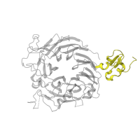 The deposited structure of PDB entry 1shy contains 1 copy of SCOP domain 103576 (Plexin repeat) in Hepatocyte growth factor receptor. Showing 1 copy in chain B.