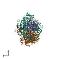 PDB entry 1siw coloured by chain, side view.
