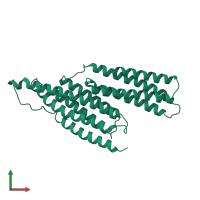 PDB entry 1sj8 coloured by chain, front view.