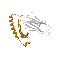 The deposited structure of PDB entry 1sje contains 1 copy of Pfam domain PF00993 (Class II histocompatibility antigen, alpha domain) in HLA class II histocompatibility antigen, DR alpha chain. Showing 1 copy in chain A.