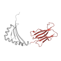 The deposited structure of PDB entry 1sje contains 1 copy of SCOP domain 48942 (C1 set domains (antibody constant domain-like)) in HLA class II histocompatibility antigen, DRB1 beta chain. Showing 1 copy in chain B.