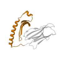 The deposited structure of PDB entry 1sjh contains 1 copy of Pfam domain PF00993 (Class II histocompatibility antigen, alpha domain) in HLA class II histocompatibility antigen, DR alpha chain. Showing 1 copy in chain A.