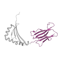 The deposited structure of PDB entry 1sjh contains 1 copy of CATH domain 2.60.40.10 (Immunoglobulin-like) in HLA class II histocompatibility antigen, DRB1 beta chain. Showing 1 copy in chain B.