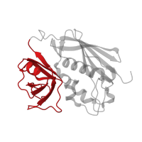 The deposited structure of PDB entry 1sjh contains 1 copy of CATH domain 2.40.50.110 (OB fold (Dihydrolipoamide Acetyltransferase, E2P)) in Enterotoxin type C-3. Showing 1 copy in chain D.