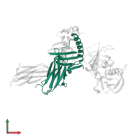 HLA class II histocompatibility antigen, DR alpha chain in PDB entry 1sjh, assembly 1, front view.