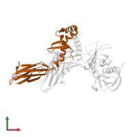 HLA class II histocompatibility antigen, DRB1 beta chain in PDB entry 1sjh, assembly 1, front view.