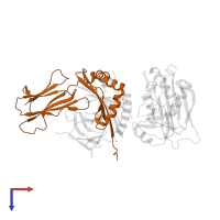 HLA class II histocompatibility antigen, DRB1 beta chain in PDB entry 1sjh, assembly 1, top view.