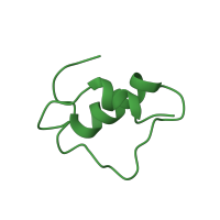 The deposited structure of PDB entry 1sju contains 1 copy of SCOP domain 56995 (Insulin-like) in Insulin B chain. Showing 1 copy in chain A.