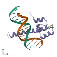 PDB entry 1skn coloured by chain, front view.