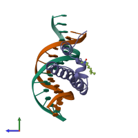 PDB entry 1skn coloured by chain, side view.