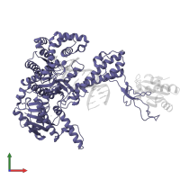 DNA-directed DNA polymerase in PDB entry 1skr, assembly 1, front view.
