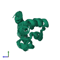 PDB entry 1skt coloured by chain, ensemble of 40 models, side view.