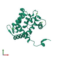 PDB entry 1sl8 coloured by chain, front view.