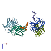 PDB entry 1slb coloured by chain, top view.