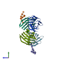 PDB entry 1slc coloured by chain, side view.