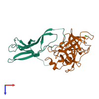 PDB entry 1slu coloured by chain, top view.