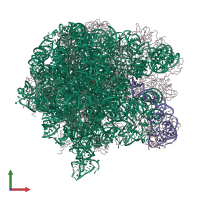 PDB entry 1sm1 coloured by chain, front view.