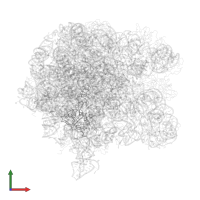 Large ribosomal subunit protein uL4 in PDB entry 1sm1, assembly 1, front view.