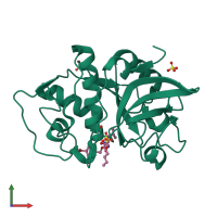 PDB entry 1snk coloured by chain, front view.