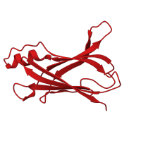 The deposited structure of PDB entry 1sok contains 2 copies of CATH domain 2.60.40.180 (Immunoglobulin-like) in Transthyretin. Showing 1 copy in chain A.