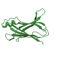 The deposited structure of PDB entry 1sok contains 2 copies of SCOP domain 49473 (Transthyretin (synonym: prealbumin)) in Transthyretin. Showing 1 copy in chain A.