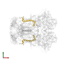 Cytochrome b-c1 complex subunit 10 in PDB entry 1sqb, assembly 1, front view.