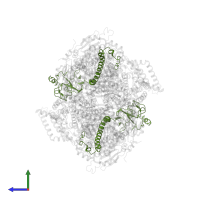 Cytochrome b-c1 complex subunit Rieske, mitochondrial in PDB entry 1sqb, assembly 1, side view.