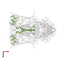 Cytochrome b-c1 complex subunit Rieske, mitochondrial in PDB entry 1sqb, assembly 1, top view.