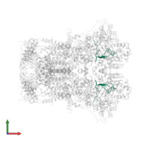 Cytochrome b-c1 complex subunit 9 in PDB entry 1sqp, assembly 1, front view.