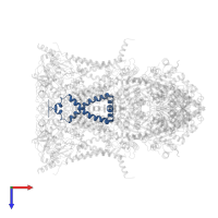 Cytochrome b-c1 complex subunit 9 in PDB entry 1sqv, assembly 1, top view.