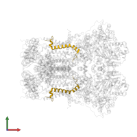 Cytochrome b-c1 complex subunit 10 in PDB entry 1sqv, assembly 1, front view.