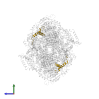 Cytochrome b-c1 complex subunit 10 in PDB entry 1sqv, assembly 1, side view.