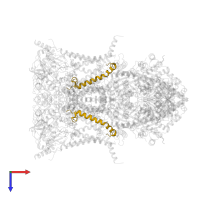 Cytochrome b-c1 complex subunit 10 in PDB entry 1sqv, assembly 1, top view.