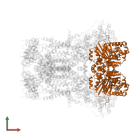 Cytochrome b-c1 complex subunit 2, mitochondrial in PDB entry 1sqv, assembly 1, front view.