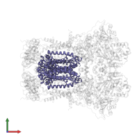 Cytochrome b in PDB entry 1sqv, assembly 1, front view.