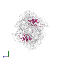 Cytochrome c1, heme protein, mitochondrial in PDB entry 1sqv, assembly 1, side view.