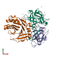 PDB entry 1sr4 coloured by chain, front view.