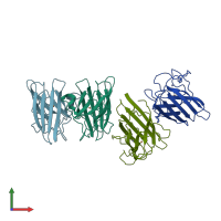 PDB entry 1srd coloured by chain, front view.