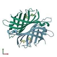 PDB entry 1sri coloured by chain, front view.