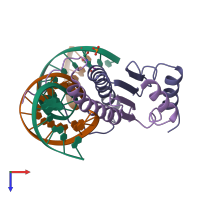PDB entry 1srs coloured by chain, top view.