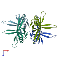 PDB entry 1sru coloured by chain, top view.